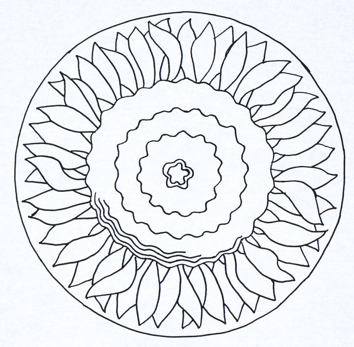 Sunflower 13" (33cm)