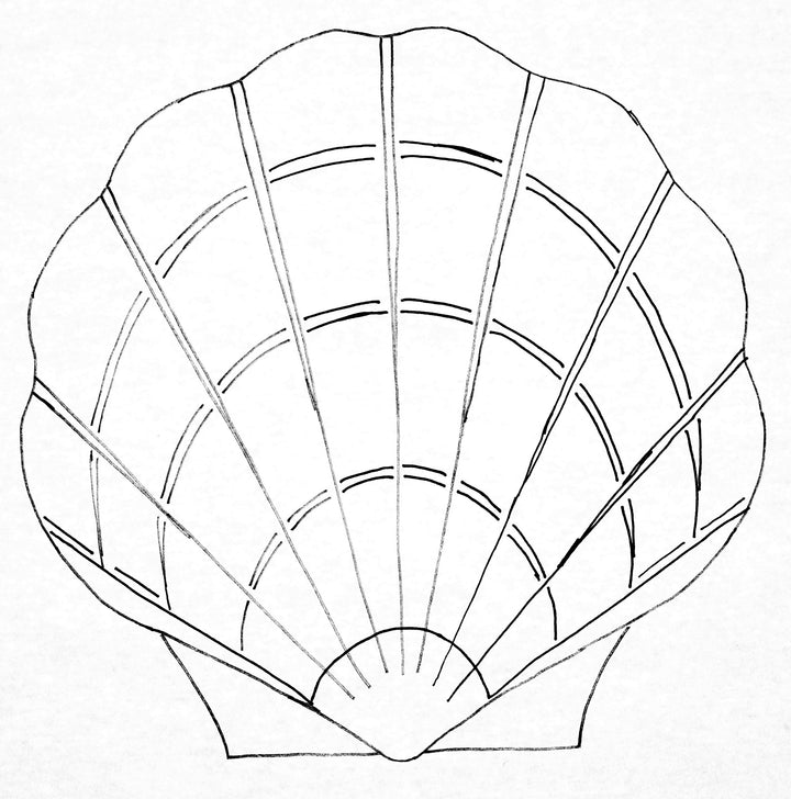 Scallop Shell 13" (33cm)