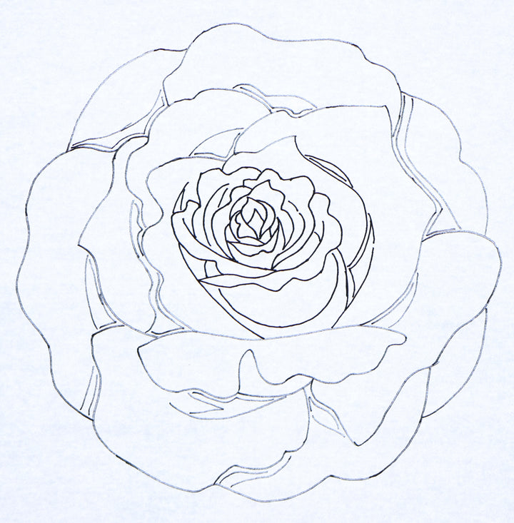 Rose 13" (33cm)