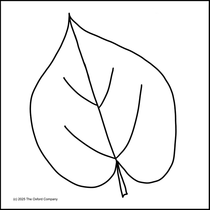 Leaf Series – Basswood  6” x 6” (15.2 x 15.2cm) Digital Download