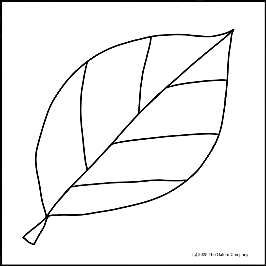 Leaf Series – Beech  6” x 6” (15.2 x 15.2cm) Digital Download