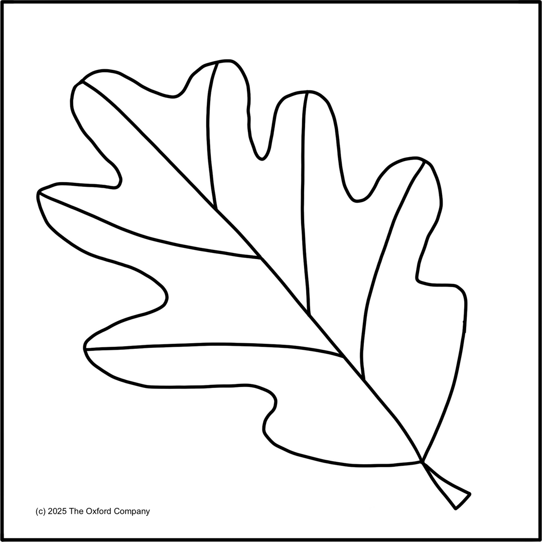 Leaf Series – White Oak  6” x 6” (15.2 x 15.2cm) Digital Download