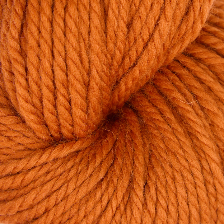 Autumn Spice : Fine Yarn