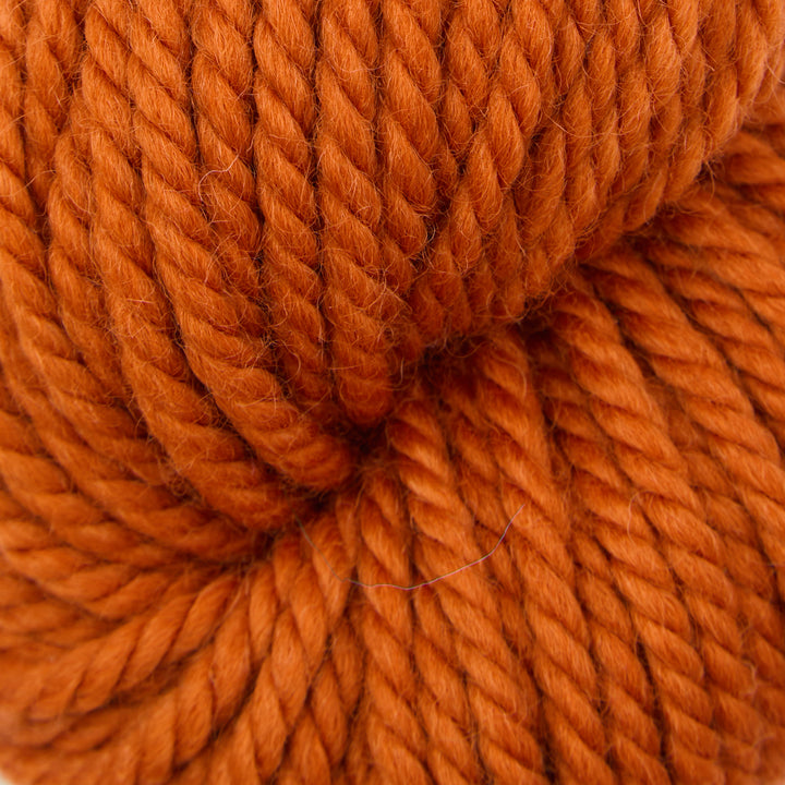 Autumn Spice : Rug Yarn