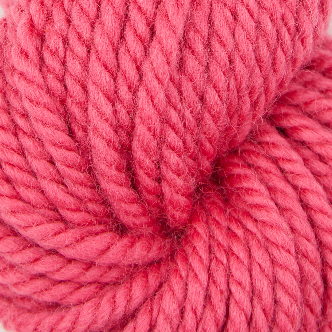 Bubble Gum : Rug Yarn