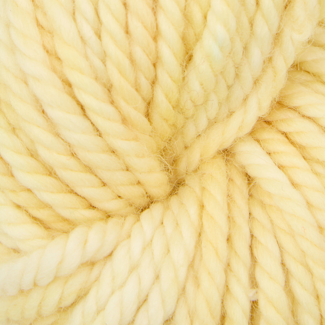 Buttered Popcorn : Rug Yarn