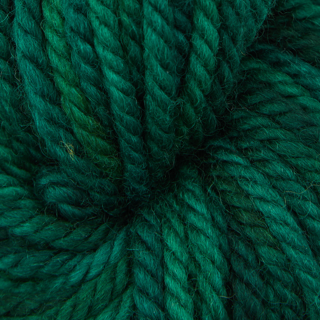 Evergreen Dark : Rug Yarn