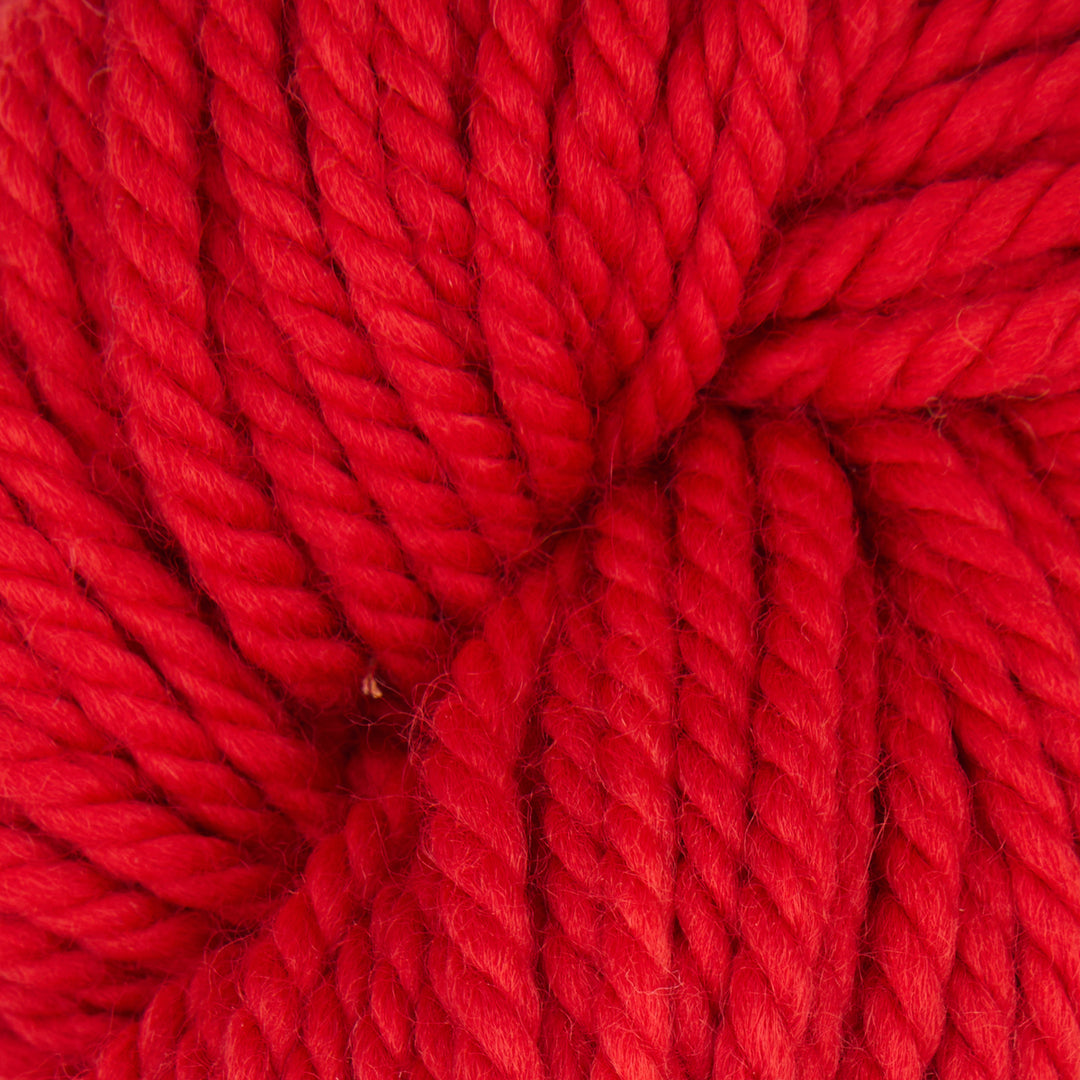 Fruit Punch : Rug Yarn