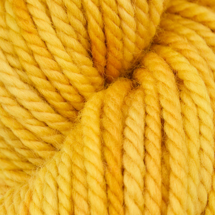 Golden Ticket : Rug Yarn