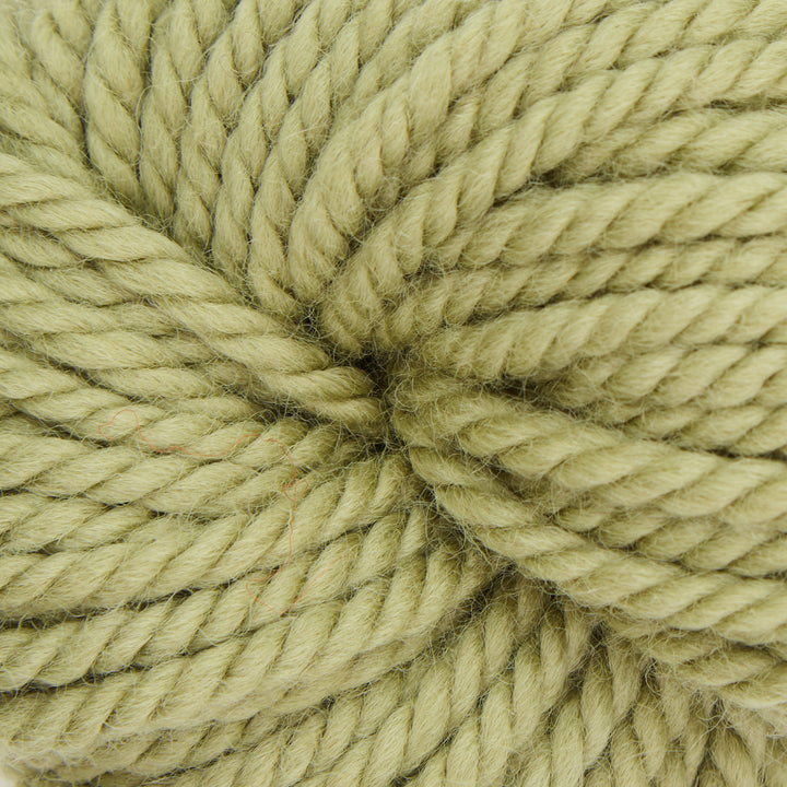 Herb Garden : Rug Yarn