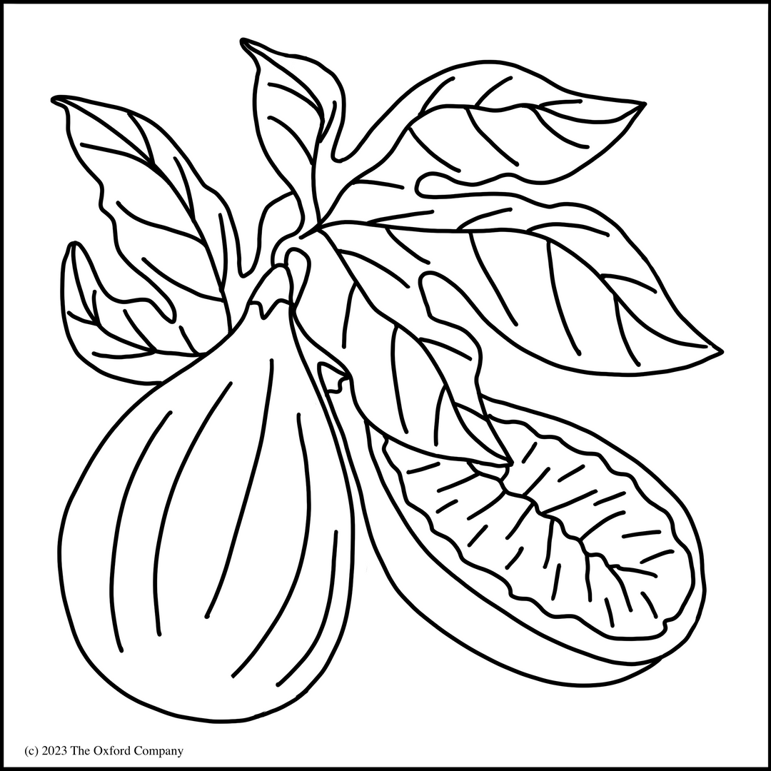 Fig Tree Simple Pattern Fig Botanical Pattern - Free Download – The Oxford Company
