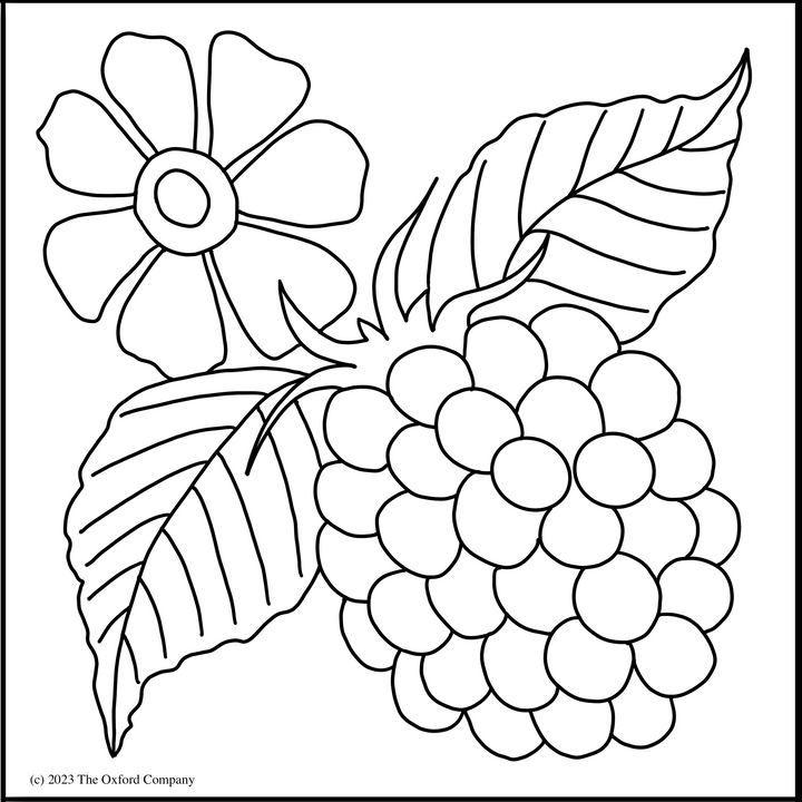 Blackberry Botanical 8”x 8” (20.3 x 20.3cm) Digital Download