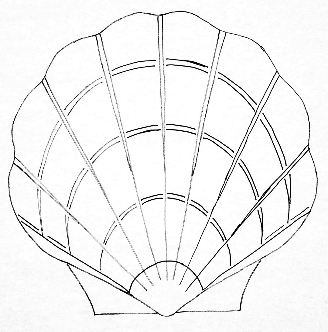 Scallop Shell Chairpad