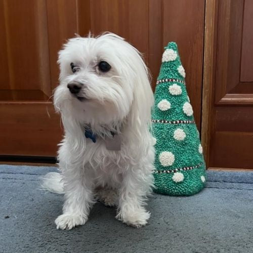 Jean Christmas Tree Class 2