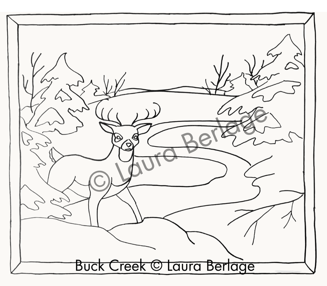 Summer, Fox Pond -  Wilderness Waters- The first in a four course series!