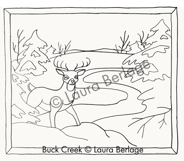 Summer, Fox Pond -  Wilderness Waters- The first in a four course series!