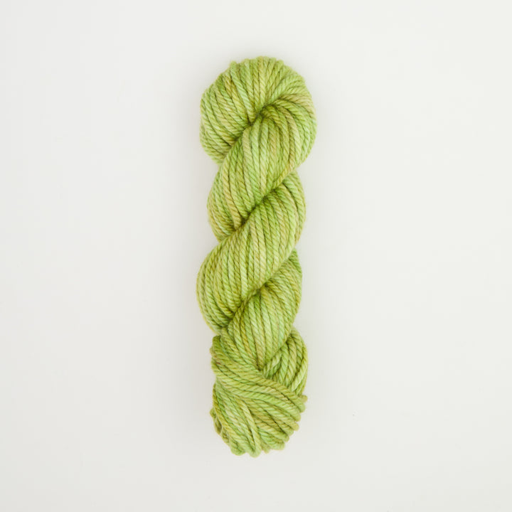 Parakeet : Rug Yarn