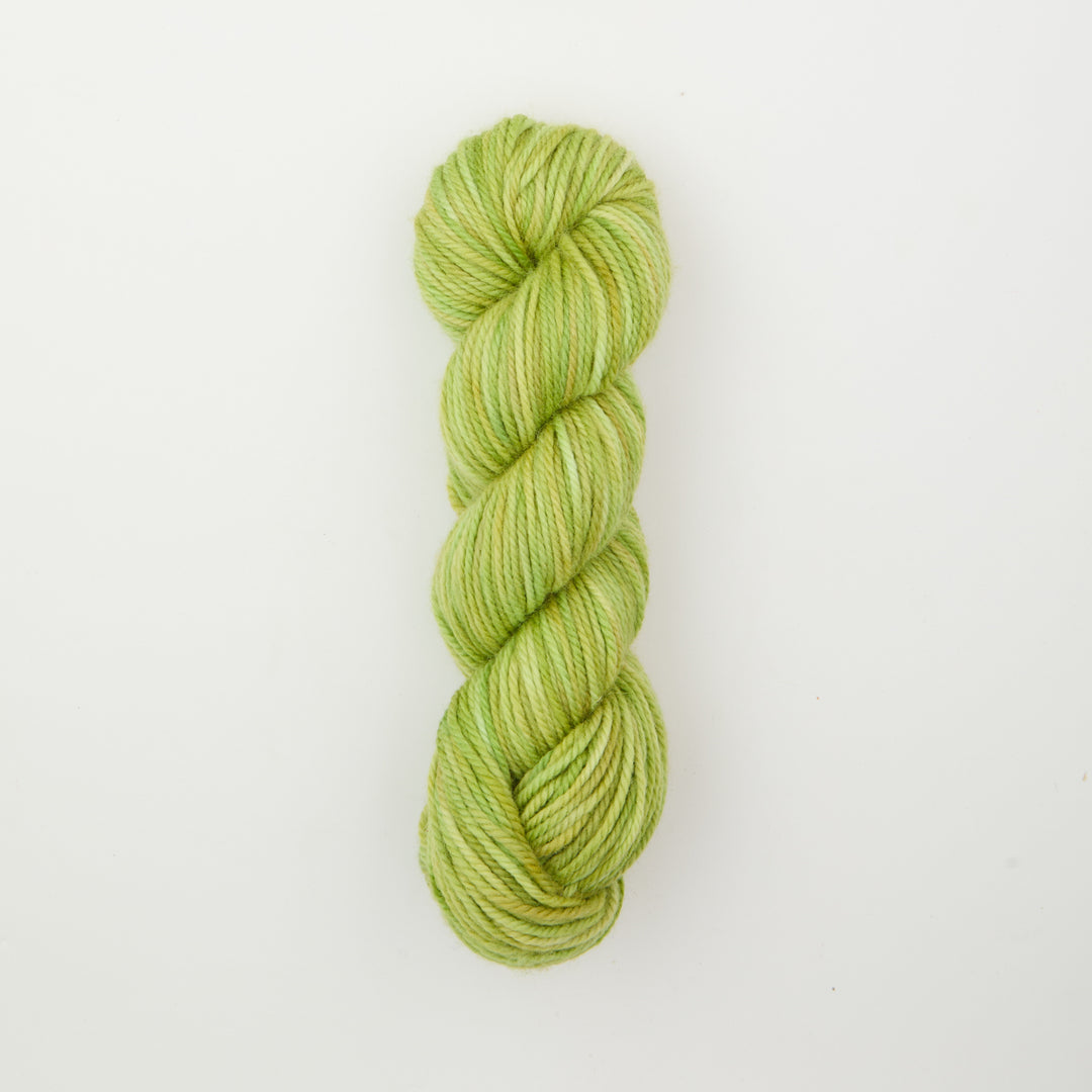 Parakeet : Fine Yarn