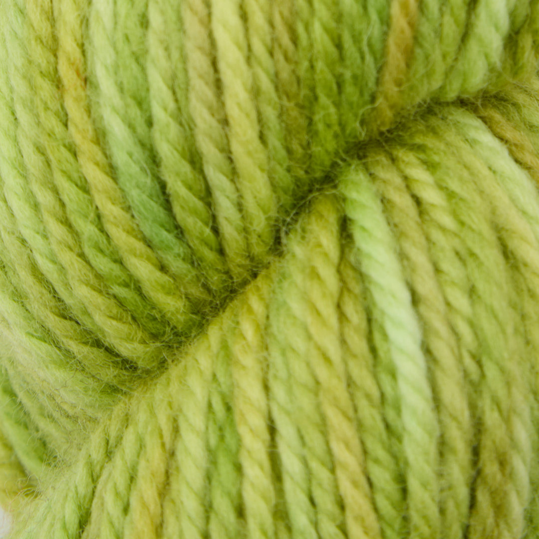 Parakeet : Fine Yarn