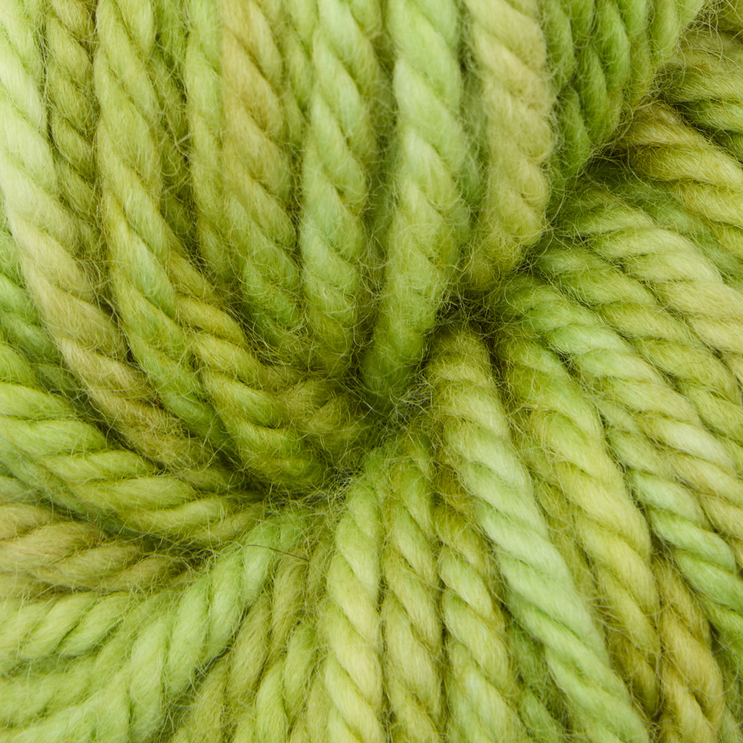 Parakeet : Rug Yarn