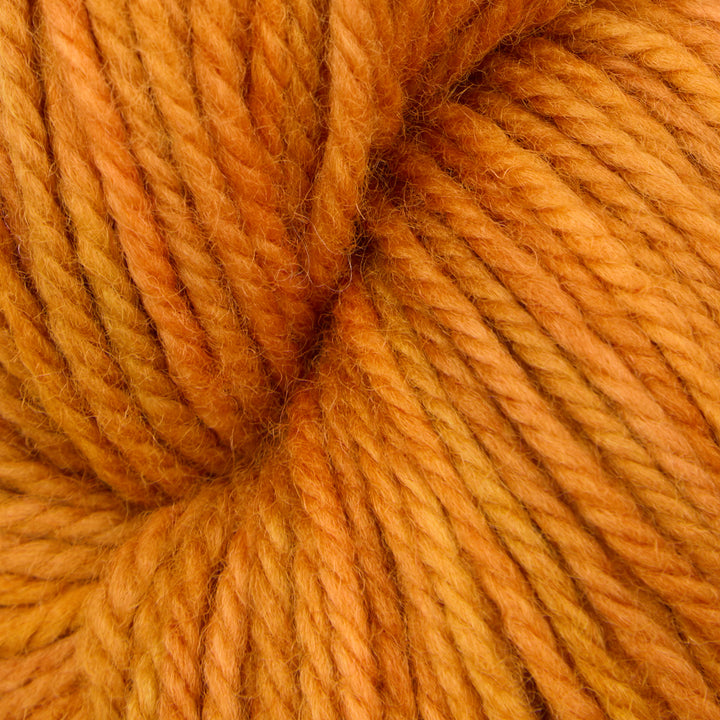 Pumpkin Pie : Fine Yarn