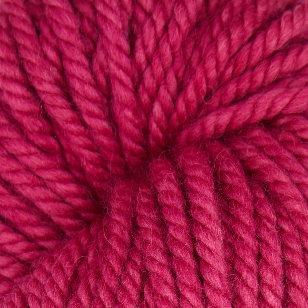 Raspberry Sherbet : Rug Yarn