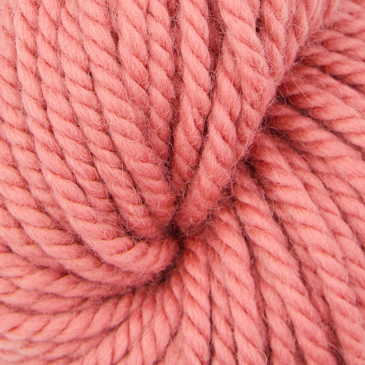 Strawberry Shake : Rug Yarn