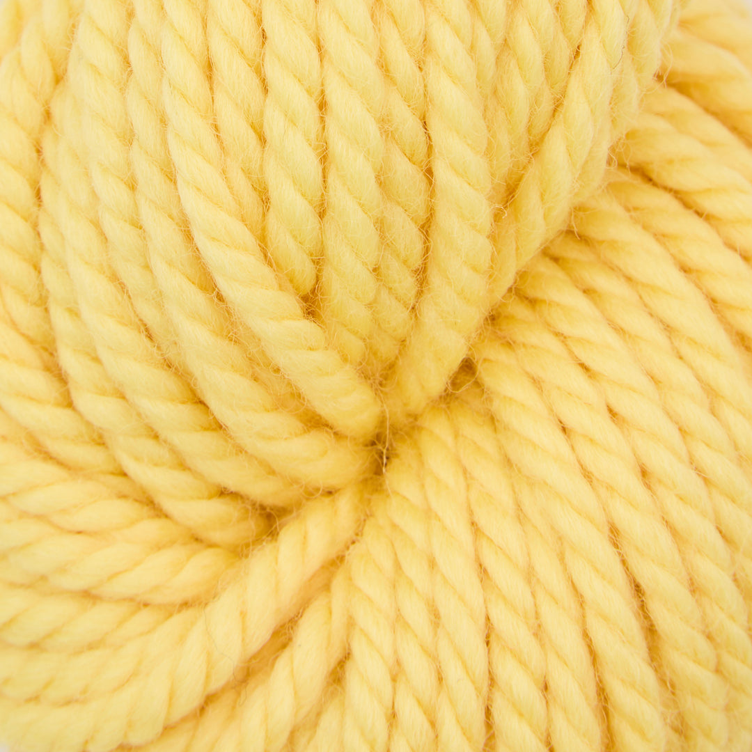 Sunny Day : Rug Yarn