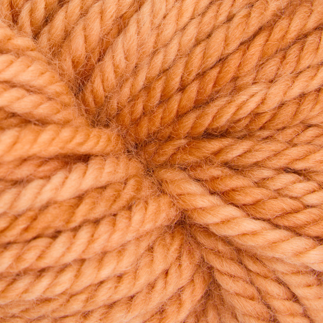 Sweet Potato Fries : Rug Yarn