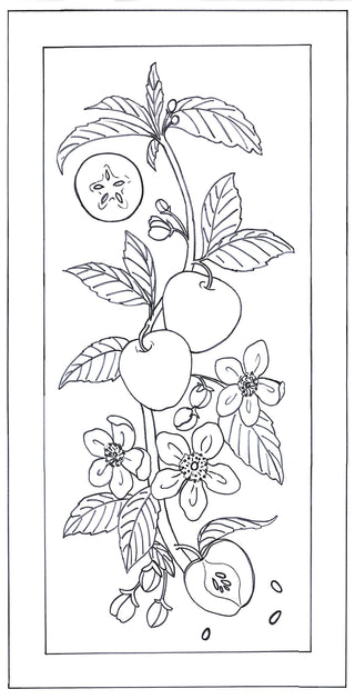 Apple Botanical 12" x 24"