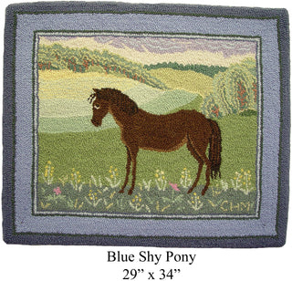 Blue Shy Pony 29" x 34"